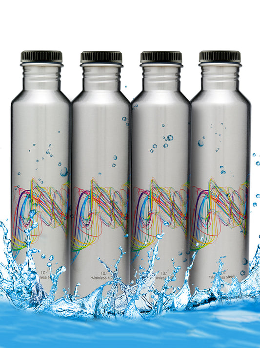 Classic Fridge Bottles Stainless Steel (4 Pc)