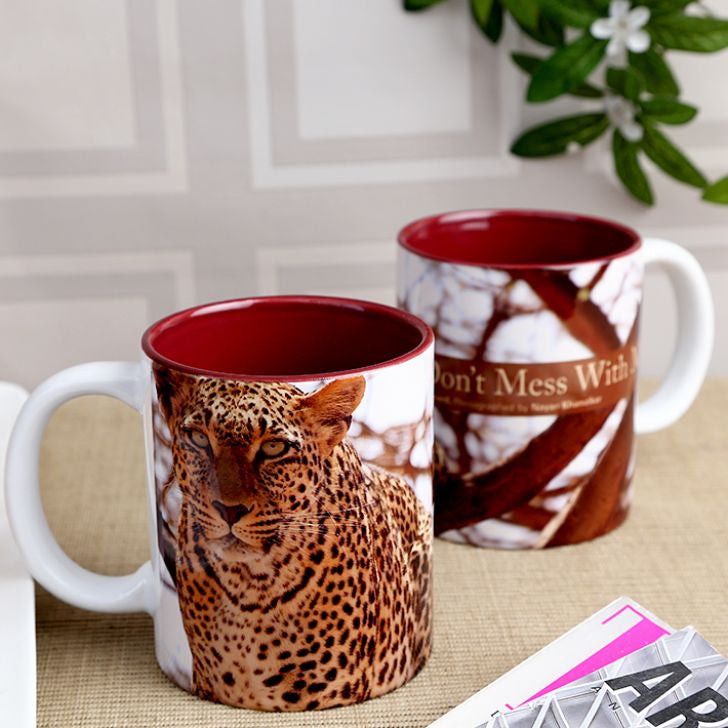 Wild Focus - Don't Mess With Me