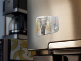 Love Wild Walk Elephant SS Fridge Magnet