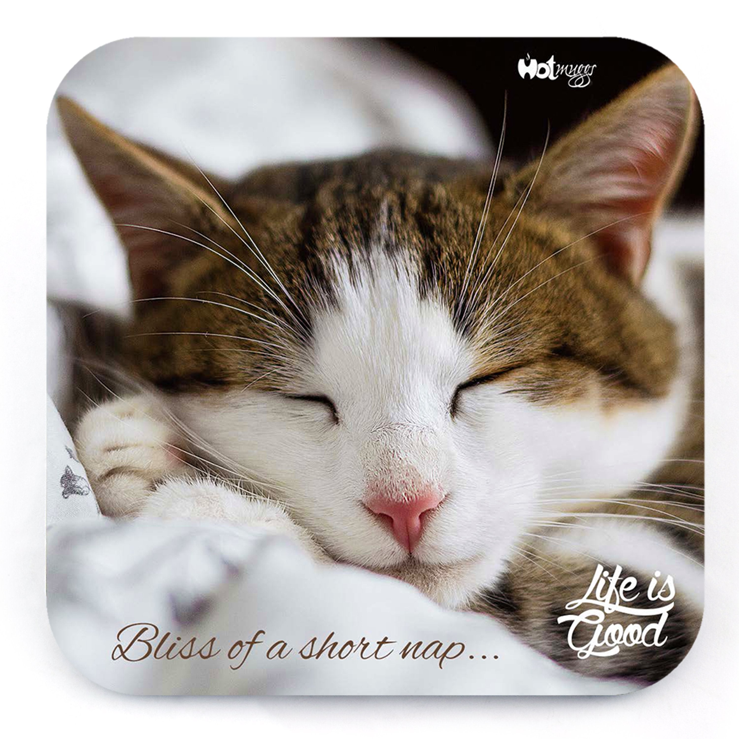 cats-bliss-of-a-nap-coaster-single