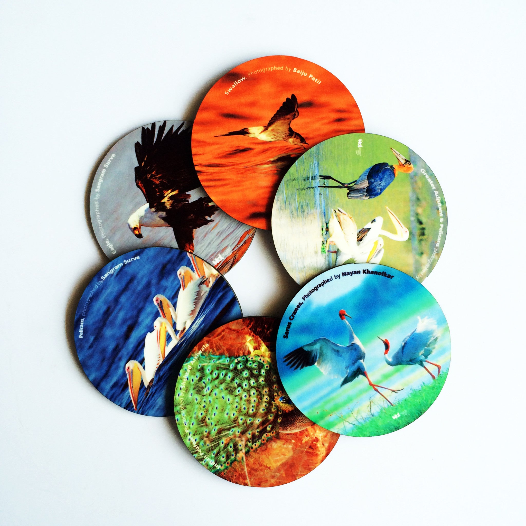hot-muggs-world-of-birds-set-of-6-coasters